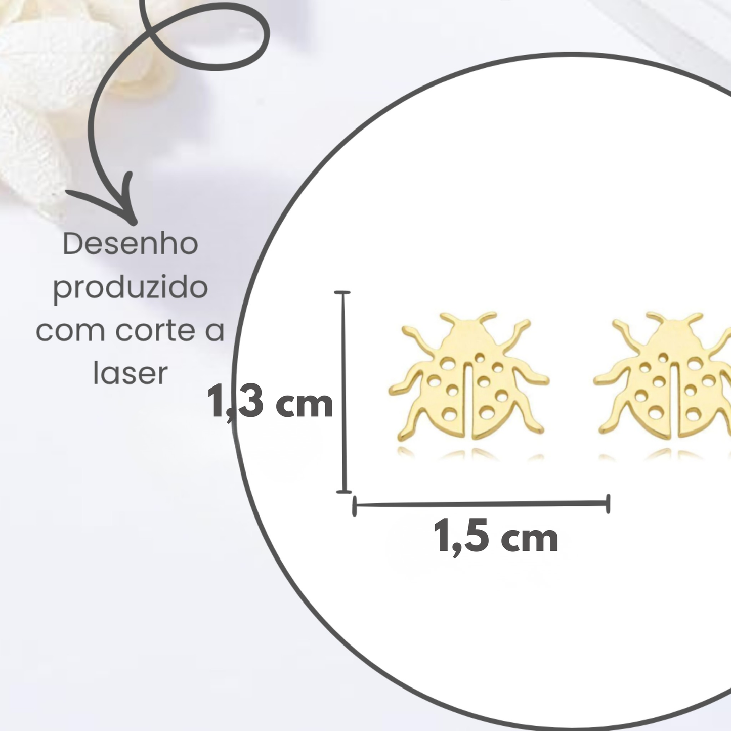 Brincos Adultos Joaninha