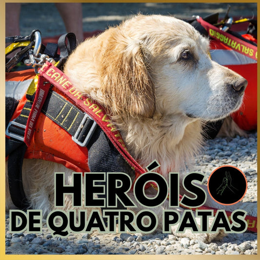 Heróis de Quatro Patas: A Força Vital dos Animais de Resgate em Calamidades
