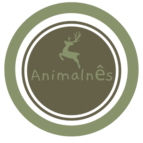 Semijoias (em breve)