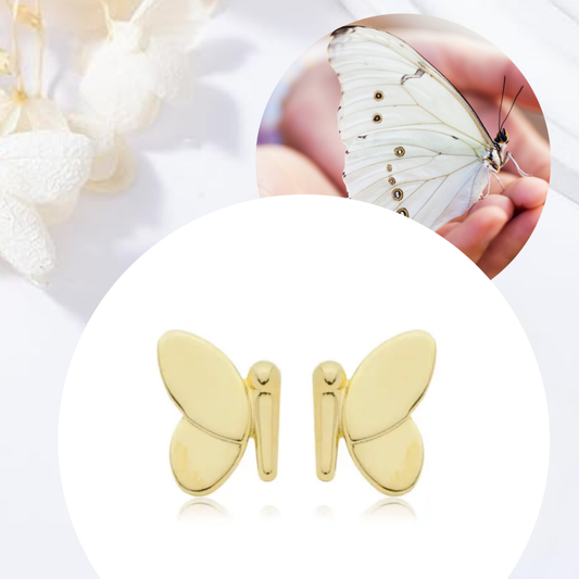 Brincos Adultos Voar