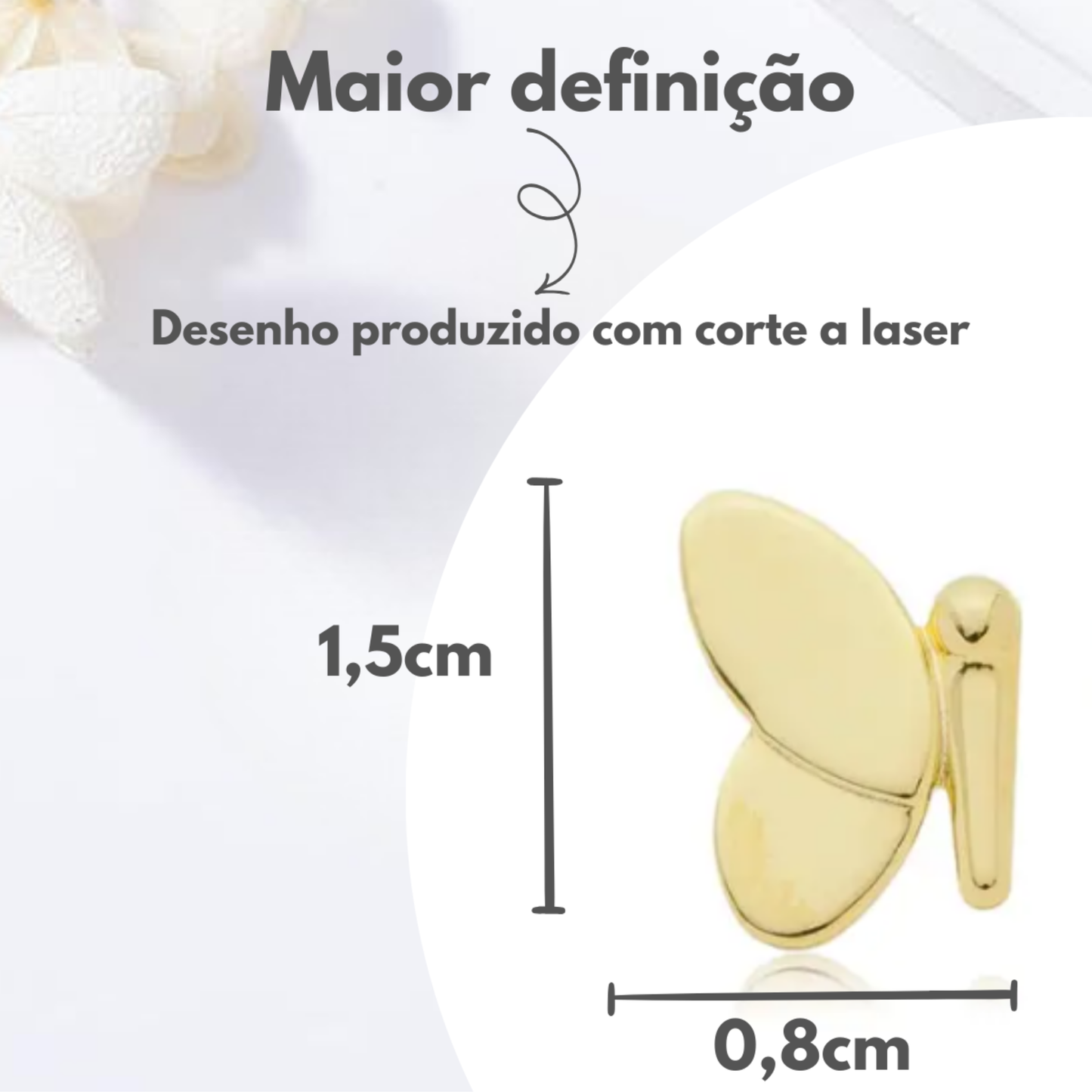 Brincos Adultos Voar