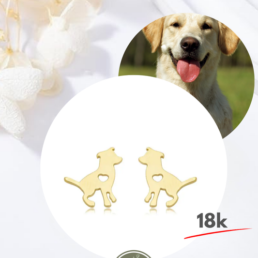 Brincos Adultos Você Está em Meu Coração